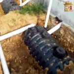 Plastic Septic Tanks